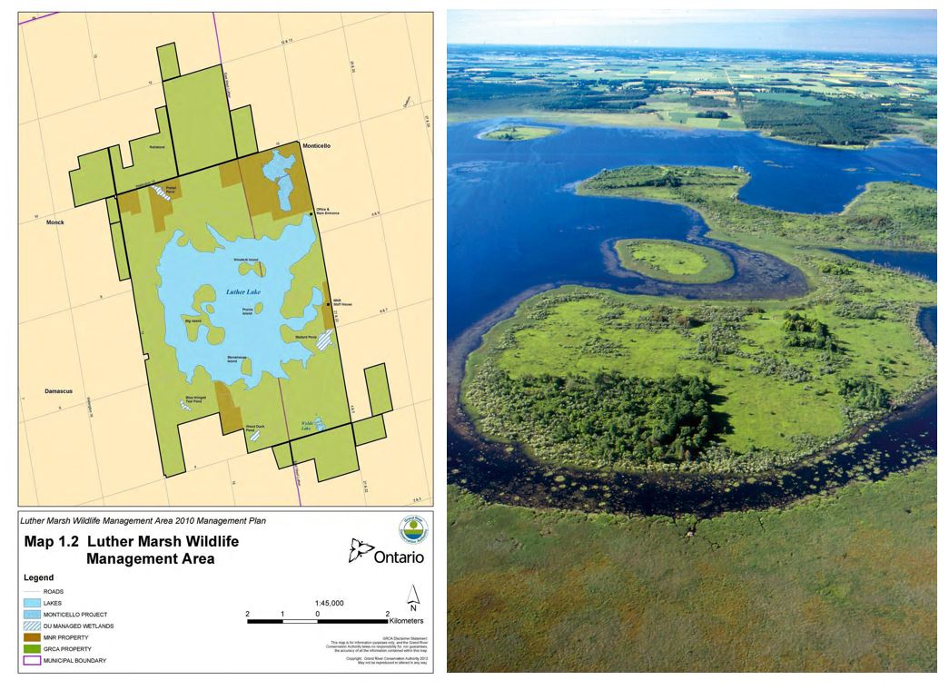 map of marsh